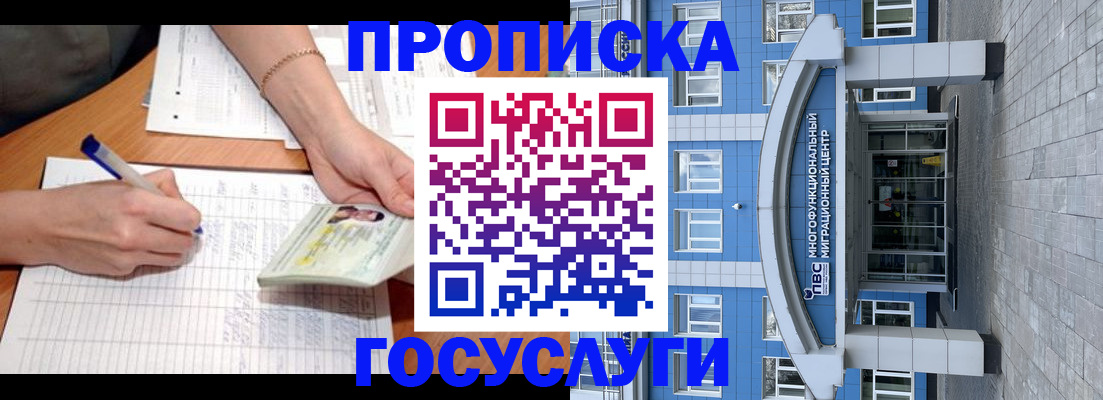 регистрация в Камчатской области